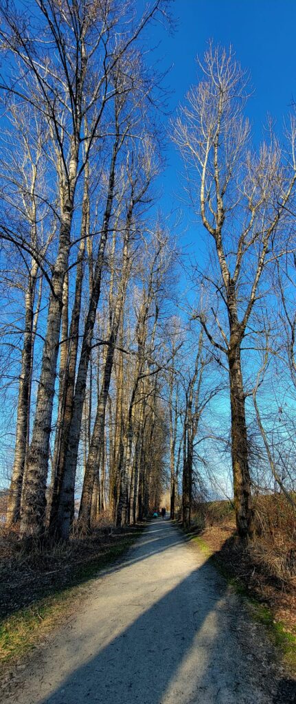 Mission Bridge Trail